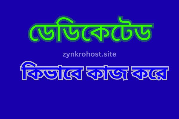 ডেডিকেটেড সার্ভার গাইড